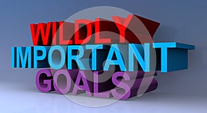 Wildly important goals photo