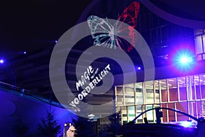 Wildnights in Wildlands