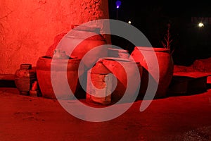 Wildnights in Wildlands