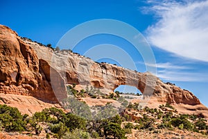 Wildon arch utah