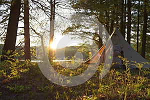 Wildwood Glow: Serene Sunset in Michigan\'s National Forest photo