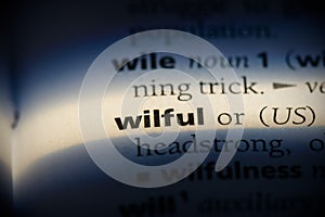 Wilful