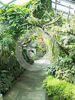 Wilhelma gardens, Stuttgart