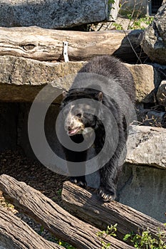 Wilhelma natural park in Stuttgart nature and wildlife zoo