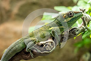 Wilhelma natural park in Stuttgart nature and wildlife zoo