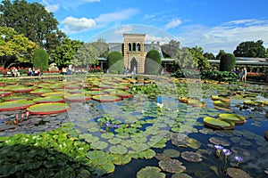 Wilhelma in Stuttgart