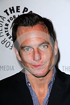 Will Arnett