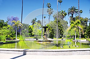 Will Rogers Memorial Park in Beverly Hills California