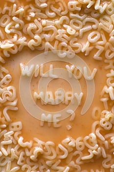 Will u marry me photo