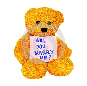 Will you marry me teddy