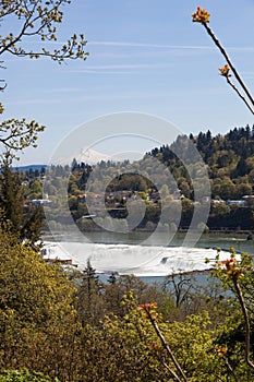 Willamette Falls and Mt. Hood