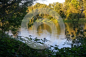 The Willamette River, flowing through Corvallis, Oregon at dusk