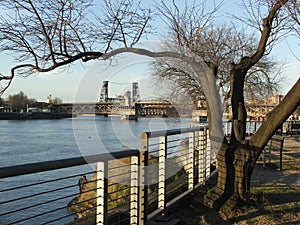 Willamette River Portland Waterfront with Rails, Benches and Bridges