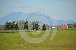 Willamette Valley Farm near Albany, Oregon