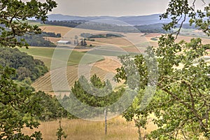 Willamette Valley landscape, Oregon