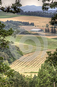 Willamette Valley landscape, Oregon