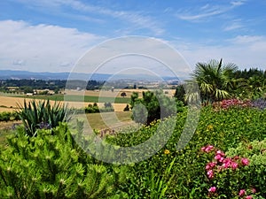 The Willamette Valley, Oregon in summer