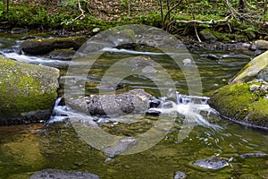 Willard brook in flow motion