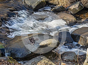 willard brook in motion