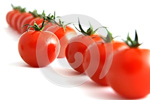 Willful tomato photo
