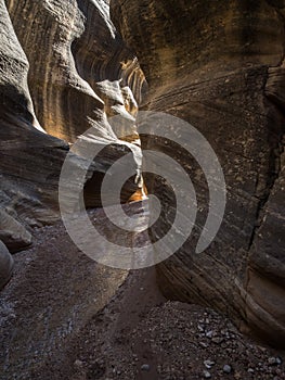 Willis Creek