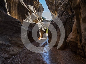 Willis Creek