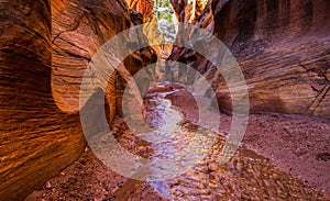 Willis Creek