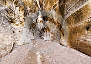 Willis Creek Canyon