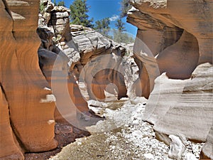 Willis Creek Narrows