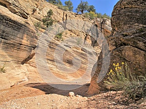 Willis Creek Narrows