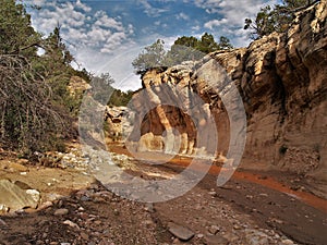 Willis Creek Narrows