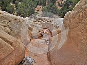 Willis Creek Narrows in Utah
