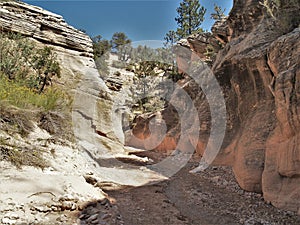 Willis Creek Narrows photo