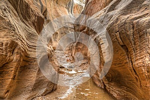 Willis Creek slot canyon