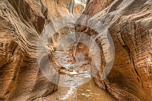 Willis Creek slot canyon photo