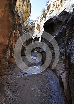 Willis creek slot canyon in escalante utah