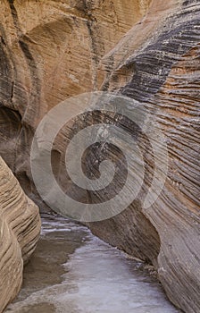 Willis Creek Slot Canyon Grand Staircase Escalante National Monument Utah Landscape