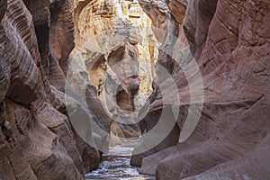 Willis Creek Slot Canyon Landscape in the Grand Staircase Escalante National Monument Utah