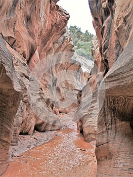 Willis Creek Slot Canyon in Utah
