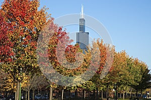 Willis Tower