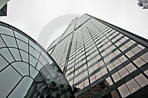 Willis Tower reaching for the sky