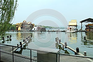 Willow along west lake side hangzhou city