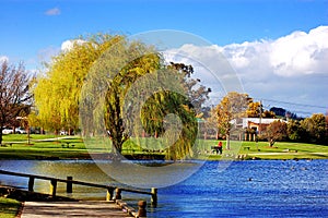 Willow and Boat ramp