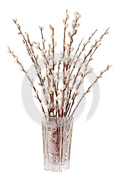 Willow bouquet with willows in glass vase