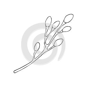 Willow branch art line. Hand drawn vintage of Happy Easter symbol. Vector ink sketch illustration isolated on white. Decorative