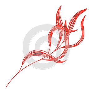 Willow branch. Red leaf sketch. Hand drawn vector illustration. Pen or marker doodle plant