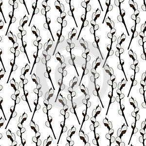 Willow branch. Tree branch. Repeating vector pattern. Seamless spring ornament. Delicate background of plants. Isolated background