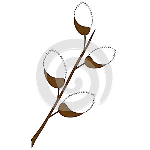 willow branch on a white background.the object is the day of bright Easter. flat illustration.