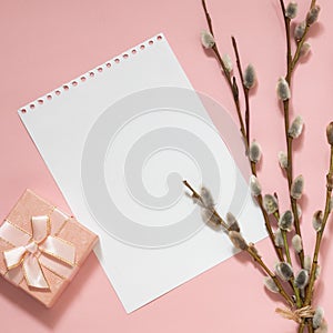Willow branches and a gift on a pink background, white blank for text. Spring Easter background concept, top view, square frame