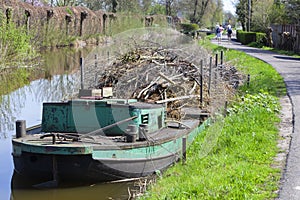 Willow branches on a pontoon in Reeuwijk